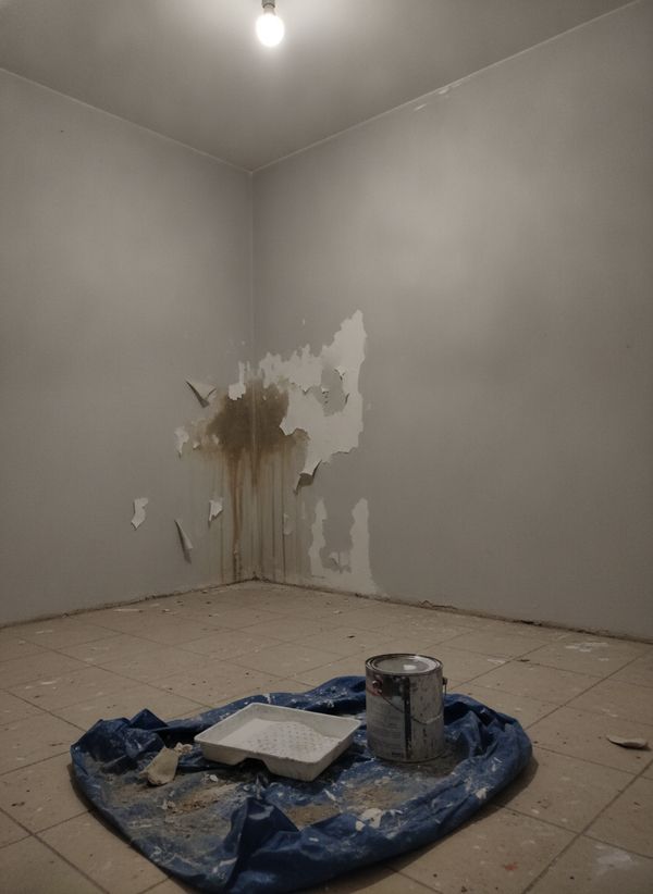 Need help painting our condo unit ASAP — newlyweds here!